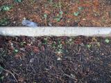 image of grave number 370741